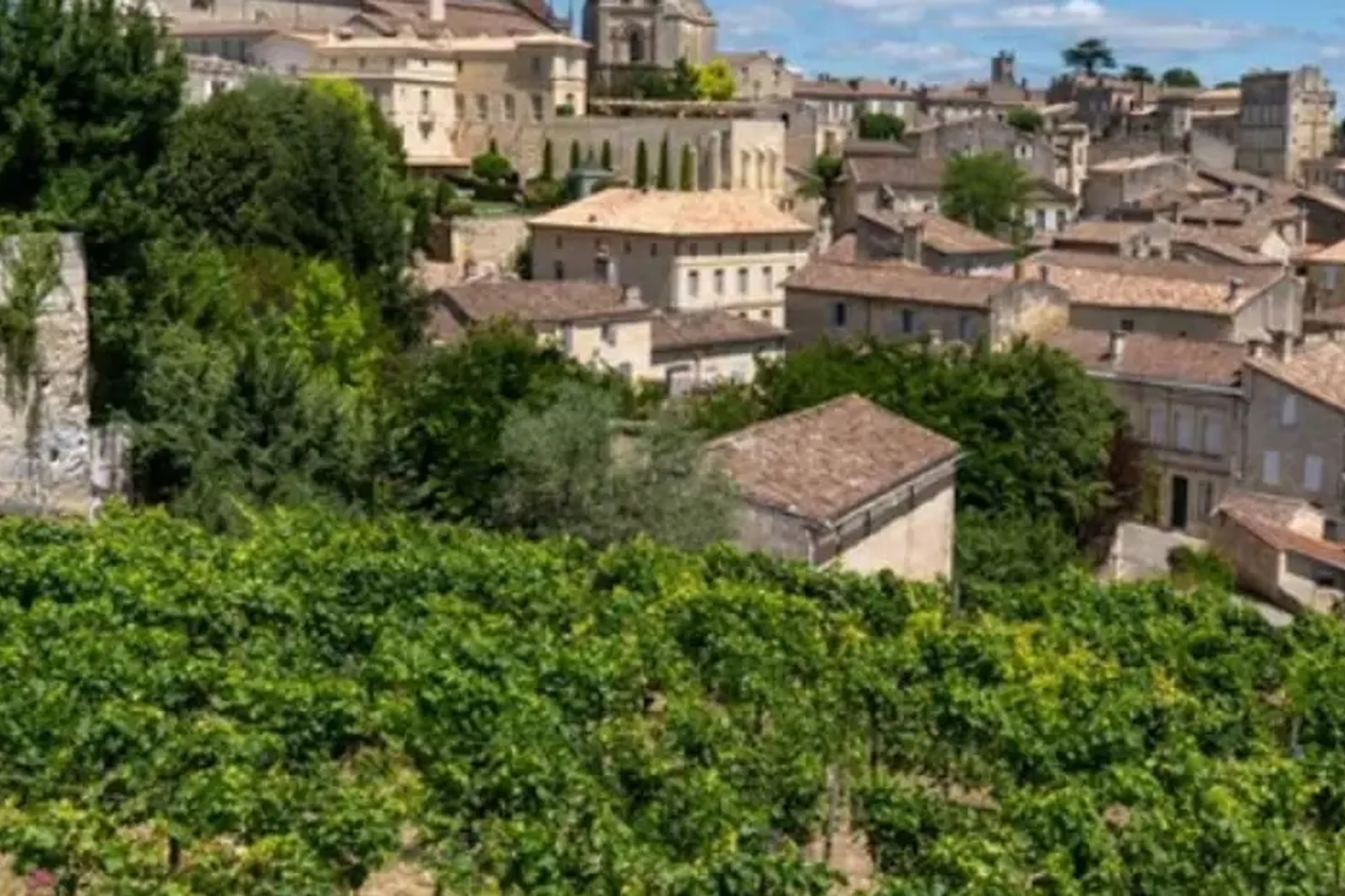 Bordeaux Shore Excursion: Private St-Emilion Half-Day Trip